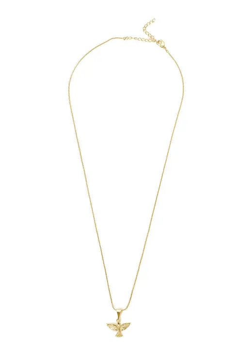 Colar Espirito Santo Cravejado com Banho em Ouro 18k